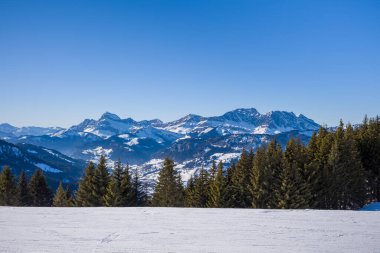 Bu manzara fotoğrafı Avrupa 'da, Fransa' da, Rhone Alpes 'te, Savoie' de, Alpler 'de, kışın çekildi. Mont Blanc 'ın önündeki köknar ağaçlarını görüyoruz, güneşin altında..