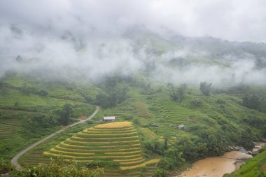 Bu manzara fotoğrafı Asya 'da, Vietnam' da, Tonkin 'de, Bac Ha' da Lao Cai 'de, yazın çekildi. Yeşil dağların ortasında, bulutların altında bir nehir görüyoruz..