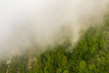 Bu manzara fotoğrafı Avrupa 'da, Fransa' da, Pireneler 'de, yazın çekildi. Bulutların altında, güneşin altında yeşil kırları görüyoruz..