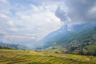 Bu manzara fotoğrafı Asya 'da, Vietnam' da, Tonkin 'de, Sapa' da Lao Cai 'de, yazın çekildi. Yeşil tropikal dağlarda, bulutların altında yeşil ve sarı pirinç teraslarını görüyoruz..