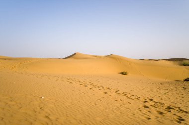 Bu manzara fotoğrafı Asya, Hindistan, Rajasthan, Jaisalmer, Summer 'da çekildi. Çölü görüyoruz, güneşin altında..