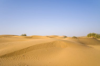 Bu manzara fotoğrafı Asya, Hindistan, Rajasthan, Jaisalmer, Summer 'da çekildi. Çölü görüyoruz, güneşin altında..