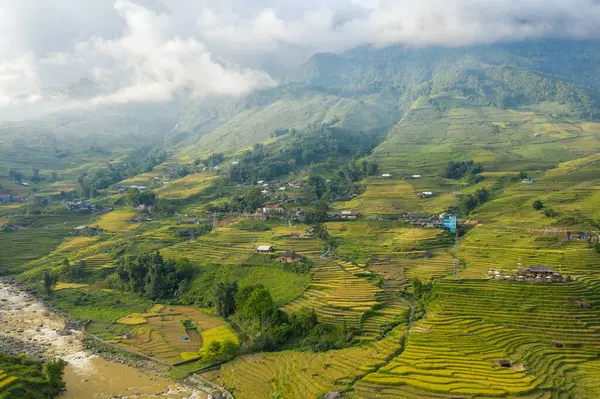 Bu manzara fotoğrafı Asya 'da, Vietnam' da, Tonkin 'de, Sapa' da Lao Cai 'de, yazın çekildi. Yeşil ve sarı pirinç tarlalarıyla geleneksel köyü görüyoruz. Yeşil dağlarda, bulutların altında..