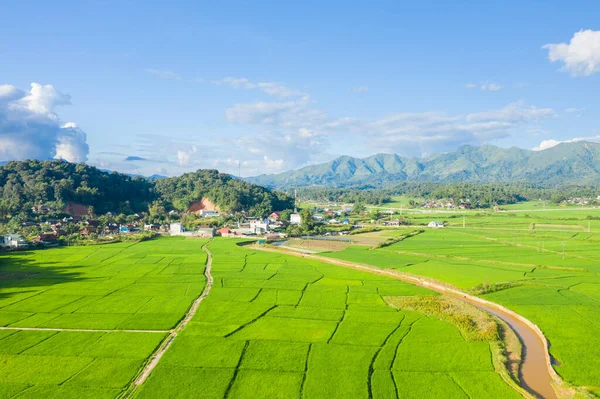 Bu manzara fotoğrafı Asya 'da, Vietnam' da, Tonkin 'de, Dien Bien Phu' da, yazın çekildi. Kırsalın ortasındaki yeşil pirinç tarlalarını ve güneşin altındaki yeşil dağları görüyoruz..