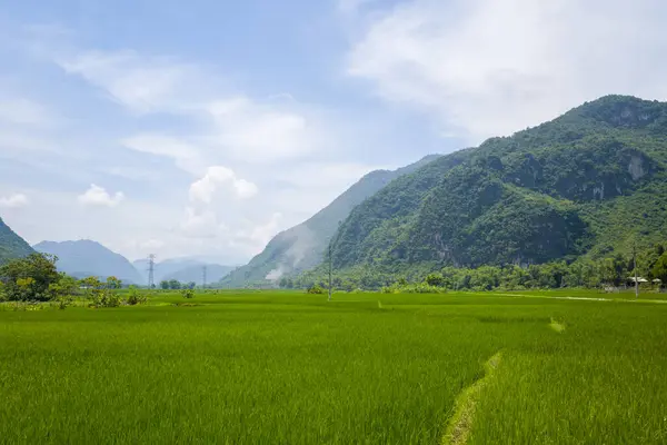 Tato Krajina Fotografie Byla Pořízena Asii Vietnamu Tonkinu Směrem Hanoji — Stock fotografie