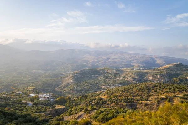 This landscape photo was taken, in Europe, in Greece, in Crete, towards Ierapetra, At the edge of the Mediterranean Sea, in summer. We see the rocky mountains above the green olive groves, under the sun.