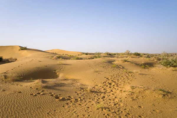 stock image This landscape photo was taken in Asia, India, Rajasthan, Jaisalmer, Summer. We see The desert, under the Sun.