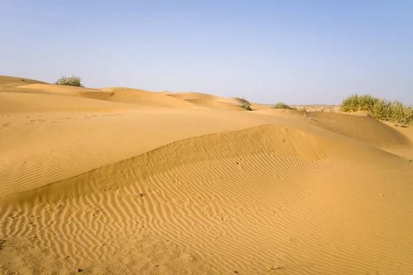Bu manzara fotoğrafı Asya, Hindistan, Rajasthan, Jaisalmer, Summer 'da çekildi. Çölü görüyoruz, güneşin altında..