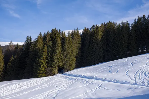 Bu manzara fotoğrafı Avrupa 'da, Fransa' da, Rhone Alpes 'te, Savoie' de, Alpler 'de, kışın çekildi. Dağlarda ve ormanlarda Mont Blanc kalabalığında güneşin altında bir patika görüyoruz..