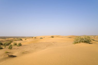 Bu manzara fotoğrafı Asya, Hindistan, Rajasthan, Jaisalmer, Summer 'da çekildi. Çölü görüyoruz, güneşin altında..