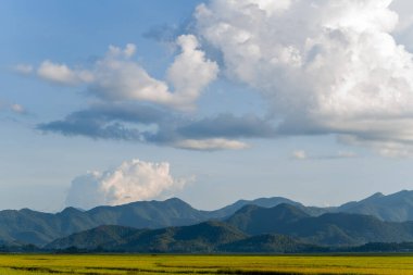 Bu manzara fotoğrafı Asya 'da, Vietnam' da, Tonkin 'de, Dien Bien Phu' da, yazın çekildi. Yeşil ve sarı pirinç tarlalarının ve dağların ortasında güneşin altında hazırlanan bir fırtına görüyoruz..