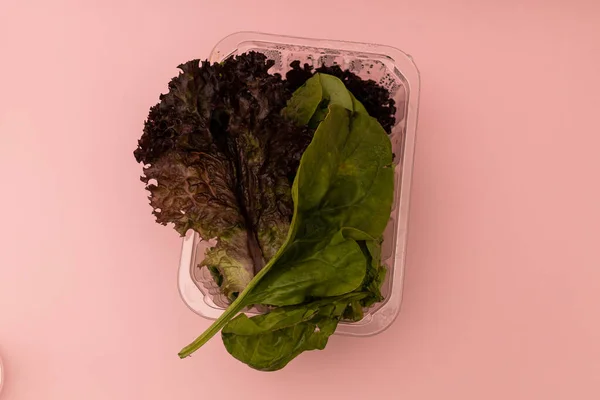 Stock image Lettuce leaves on a pink background