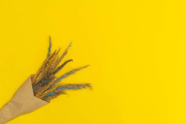 Sarı arka planda kurumuş çiçekler.