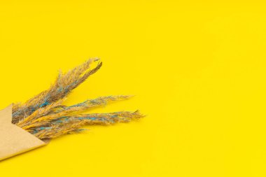 Sarı arka planda kurumuş çiçekler.