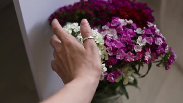Дівчина Торкається Диких Квітів Руками — стокове відео