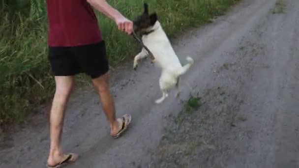 棒を持った犬と遊ぶ男 — ストック動画