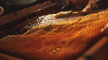 Arıcı, bal peteğinin üst katmanını çerçevedeki balı çıkarmak için çıkarıyor.