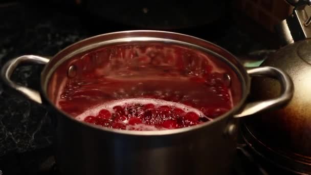 樱桃在锅里沸腾 做成肉豆蔻 — 图库视频影像