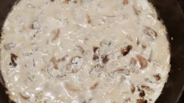 Champignons Cuits Dans Une Casserole Cuisine Maison — Video