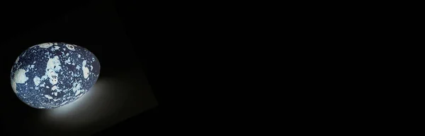 Знамя Неоновым Яйцом Черном Фоне — стоковое фото