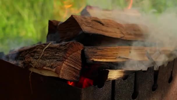 Logs Burning Brazier Close Shots — стоковое видео