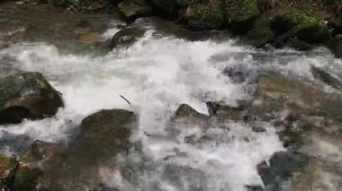 Kayaların üzerine nehir akar