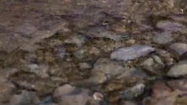 Kayaların arasından akan kaynak suyu berraktır.