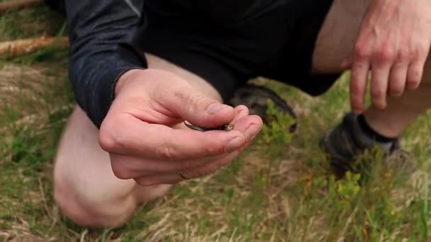 男性の観光客が小さなトカゲを手に持っている — ストック動画