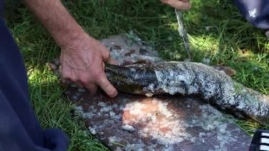 Yetişkin bir adam bir balığı bıçakla temizler.