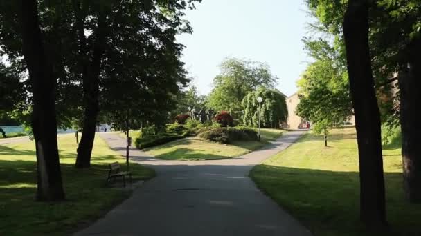 Μνημείο Στο Τέλος Του Σοκάκι Στο Πάρκο — Αρχείο Βίντεο