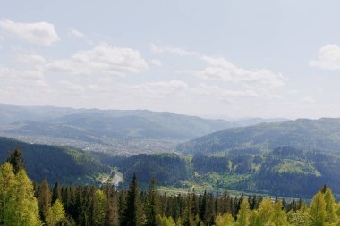 Karpat dağları yeşil, parlak gökyüzü