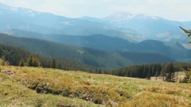 Büyük karlı dağlar, tarla ve doğa.