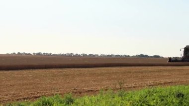 Çalışan bir biçerdöver hasadı.