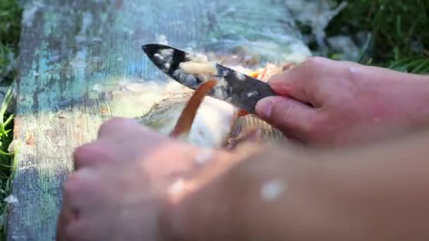 Bir Adam Çabucak Balık Temizler Makro Şat — Stok video