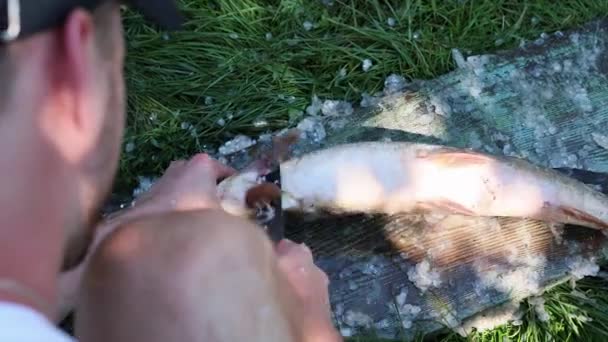 Balık Temizleyen Bir Adam Üst Manzara — Stok video