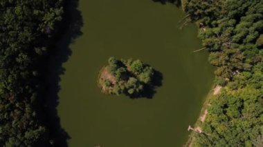 Nehirde ağaçlar olan ada, kameralar yakınlaş, insansız hava aracı görüntüsü