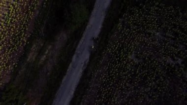 Kamera, yoldaki iki insana yukarıdan zumluyor.
