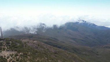 Orman ve ormanın güzel manzarasından görüldü..