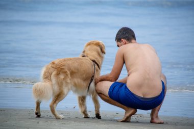 Golden retriever, Büyük Britanya kökenli bir av köpeği türüdür ve su kuşu avlamak için geliştirilmiştir..
