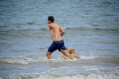 Golden retriever, Büyük Britanya kökenli bir av köpeği türüdür ve su kuşu avlamak için geliştirilmiştir..