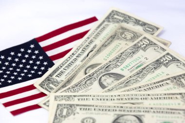 Brezilya pasaportu ve Amerika Birleşik Devletleri bayrağıyla çeşitli banknotlar halinde..