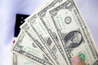 Brezilya pasaportu ve Amerika Birleşik Devletleri bayrağıyla çeşitli banknotlar halinde..