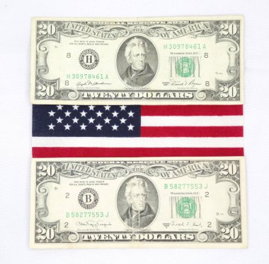 Brezilya pasaportu ve Amerika Birleşik Devletleri bayrağıyla çeşitli banknotlar halinde..