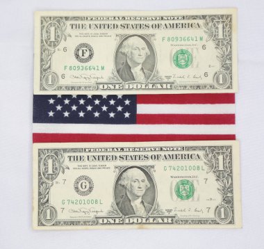 Brezilya pasaportu ve Amerika Birleşik Devletleri bayrağıyla çeşitli banknotlar halinde..