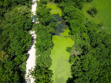 Doğada açık kanalizasyon ile çevre tüm bitkisel alanlardan görünür..