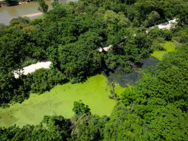 Doğada açık kanalizasyon ile çevre tüm bitkisel alanlardan görünür..