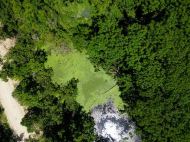 Doğada açık kanalizasyon ile çevre tüm bitkisel alanlardan görünür..
