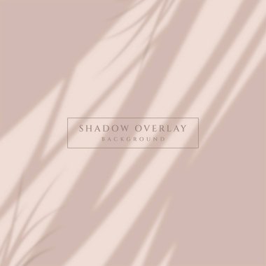 Estetik Gölge Örtüsü Güneş Işığı Arkaplanı Efektleri