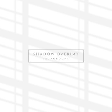 Estetik Gölge Örtüsü Güneş Işığı Arkaplanı Efektleri