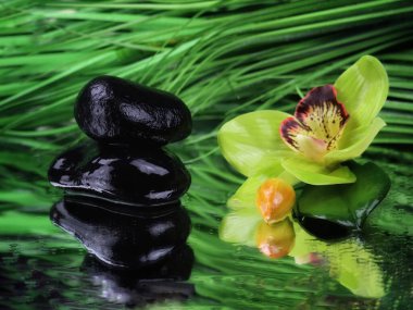 Siyah taşlar ve yeşil bir orkideyle sağlıklı bir atmosferi resmeden bir fotoğraf..